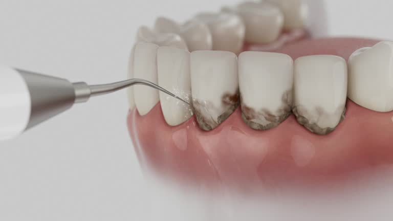 Reliable Dental contractor in Dover, NH by Dentist Open Now